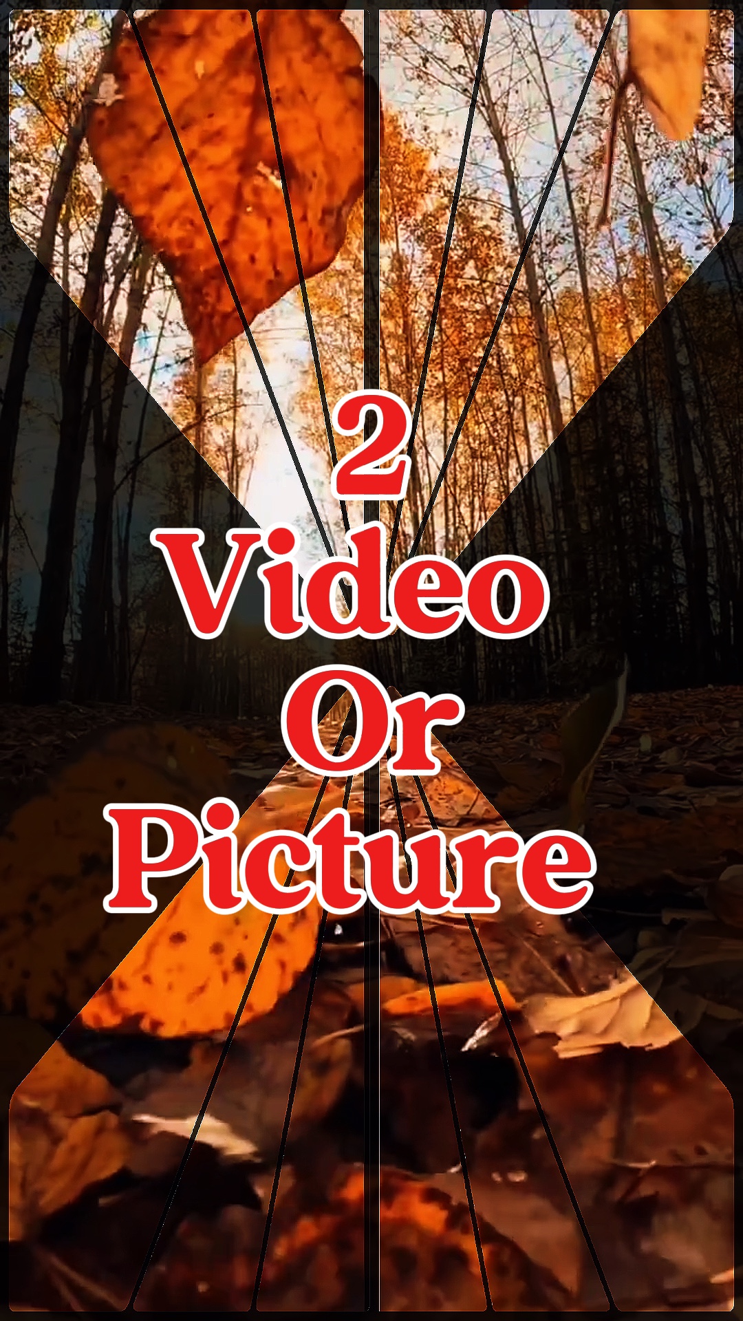 2 vidéo ou photo 