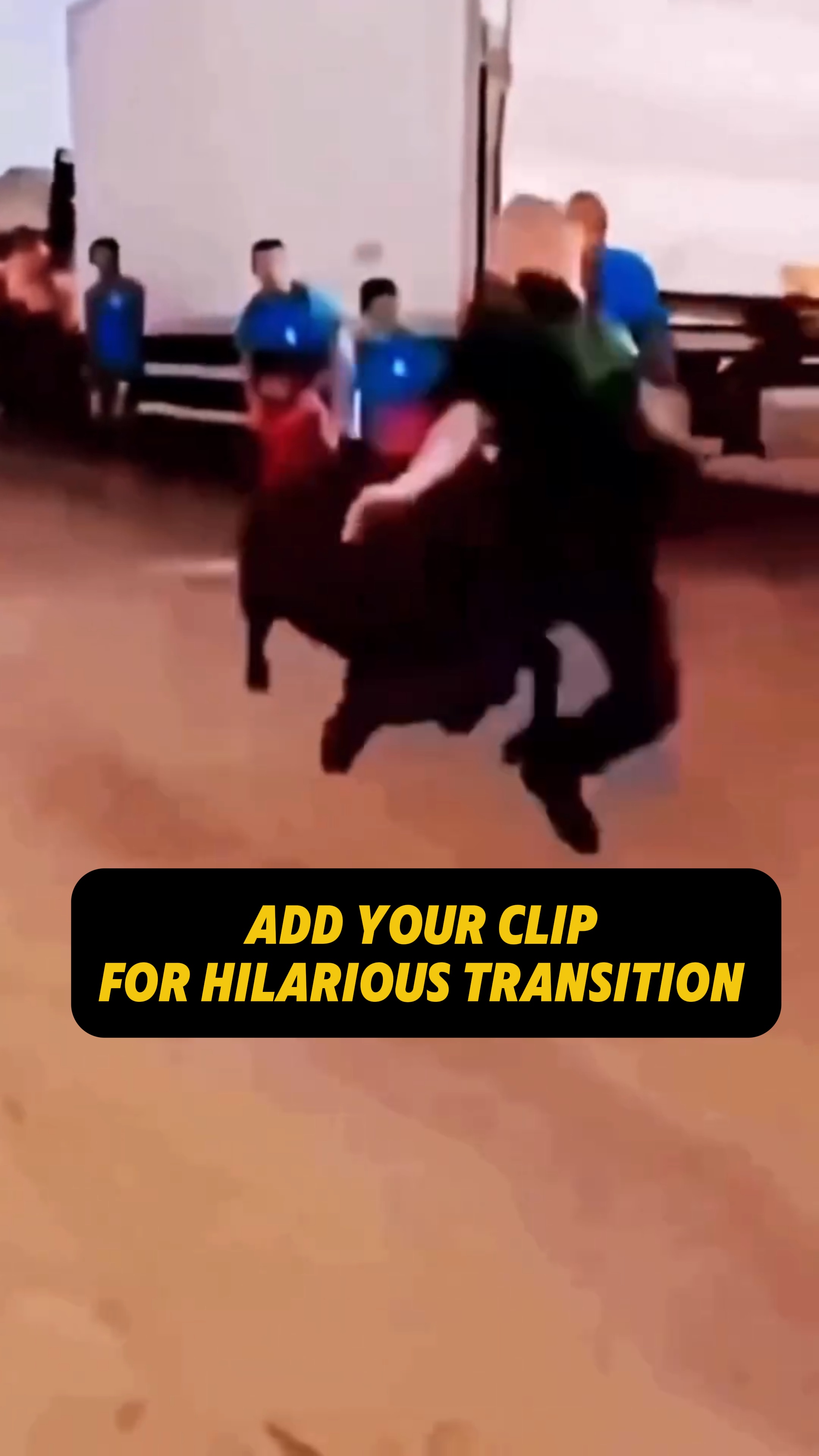 Divertida transición de toro