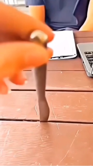 mini vlog