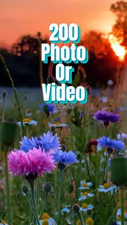 200 Video / Photo 