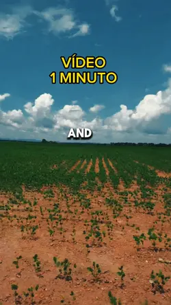 vídeo de um minuto