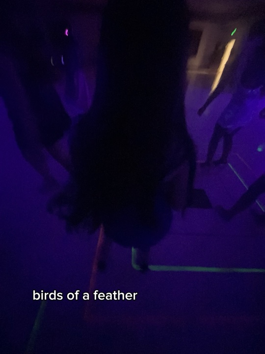 birds of a feather