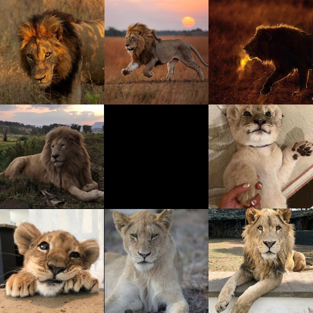 Lion
