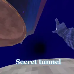 Secret tunnel