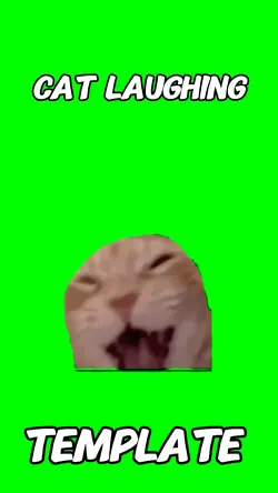 Cat laughing meme 