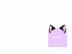 meow💥💥