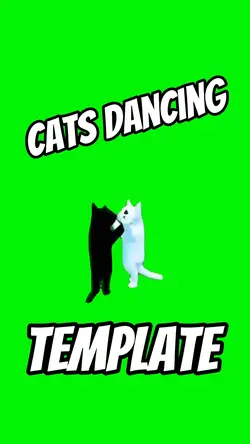 Dancing Cats
