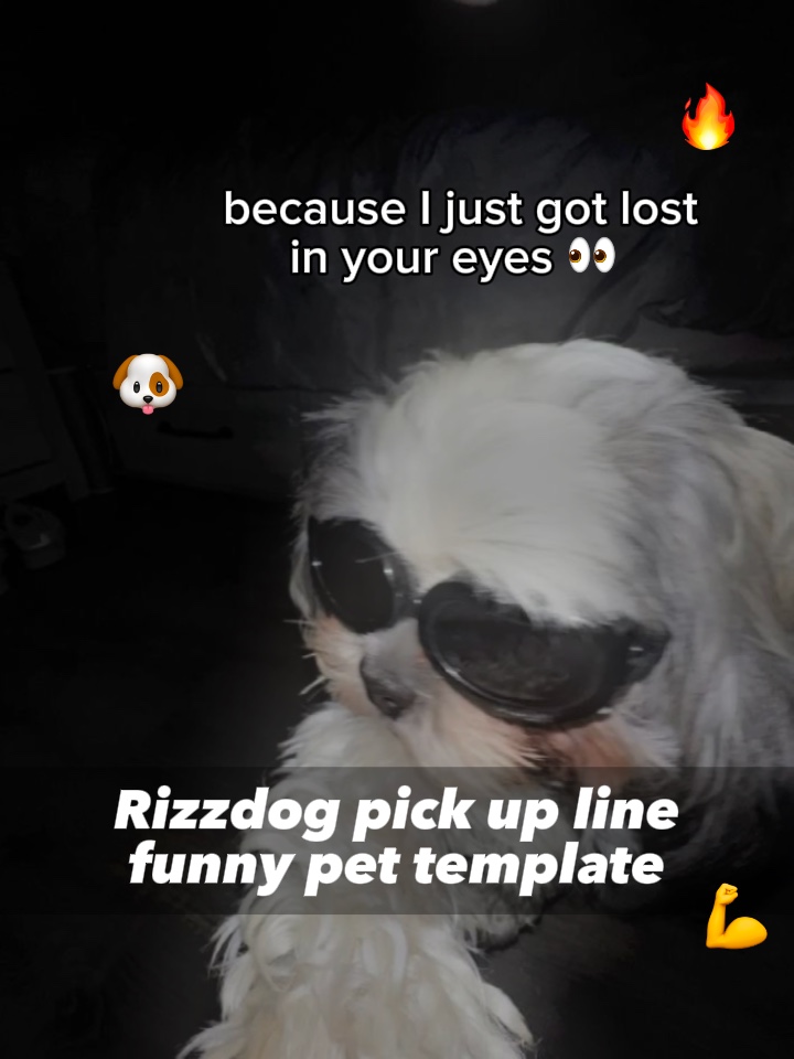 Rizzdog