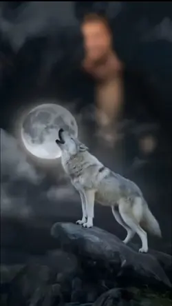 FELIZ