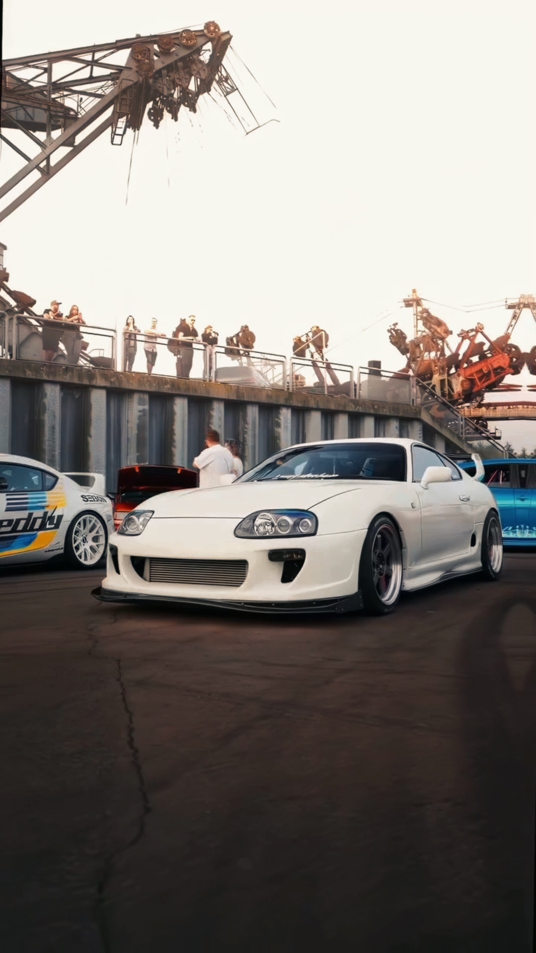 | SUPRA🤍