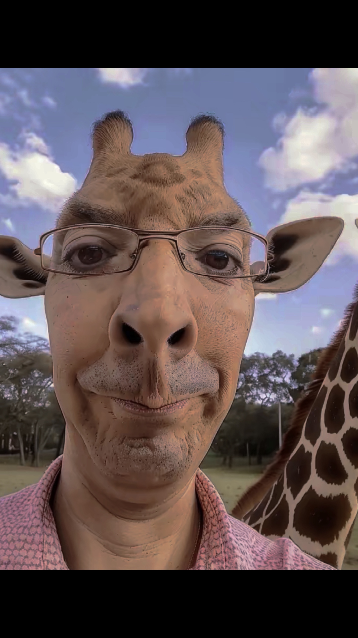 Homme girafe