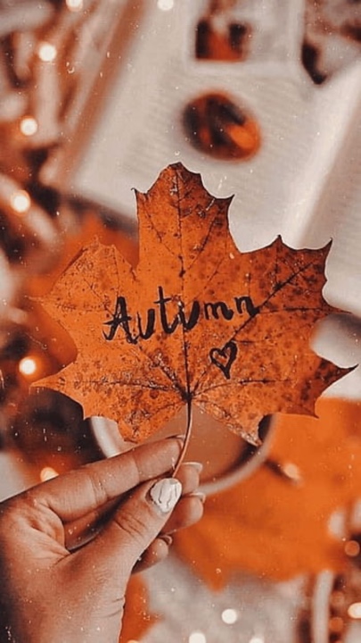 Dias de outono 🍁