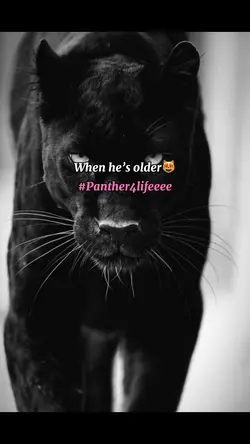 Panther4lifeee