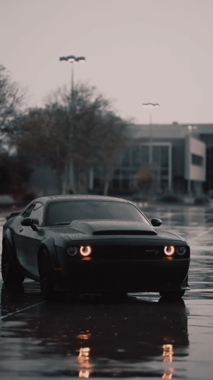 DUNKLE ⚡ Challenger