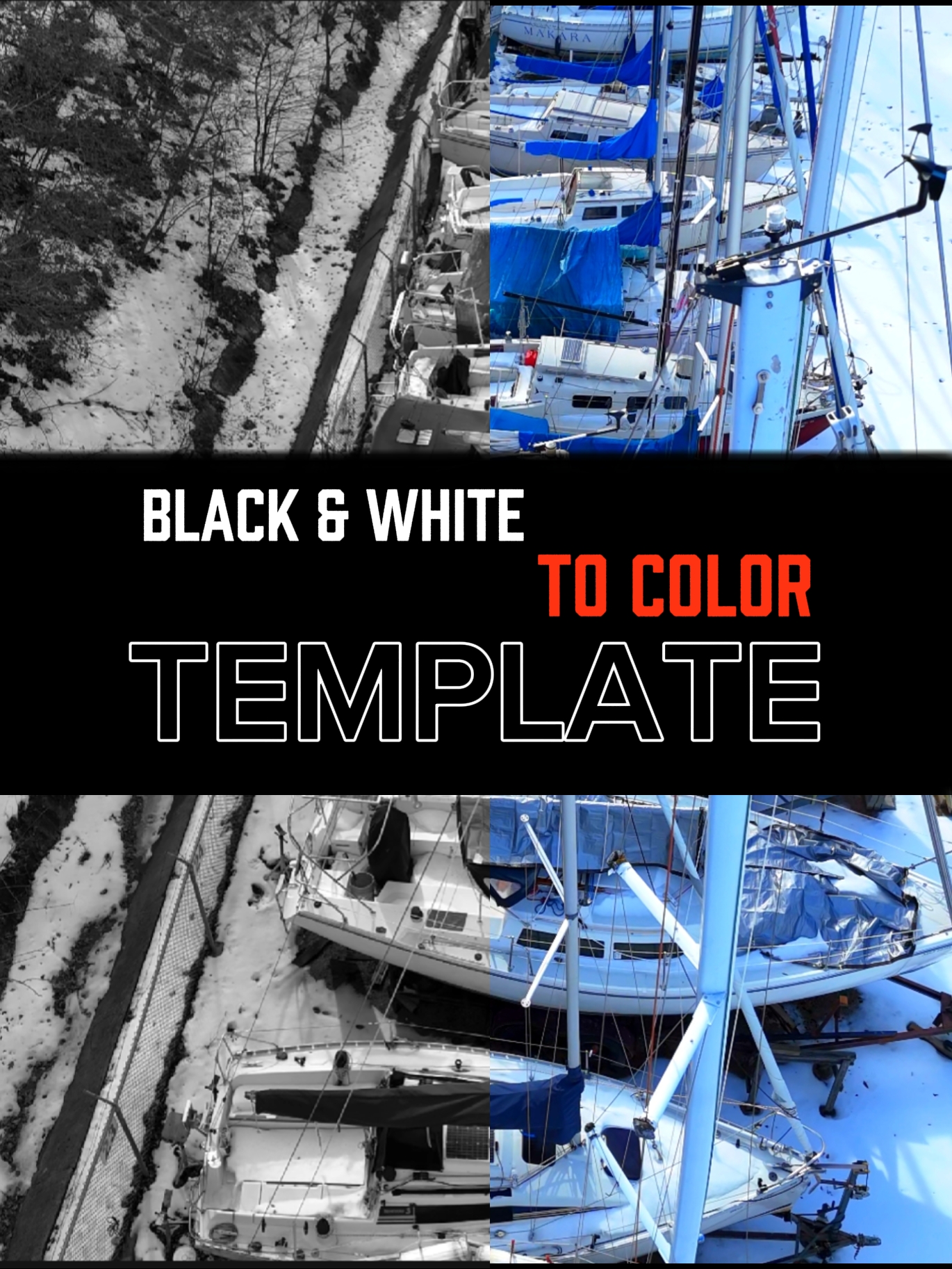 Black & White Color