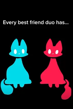 every bsf duo has