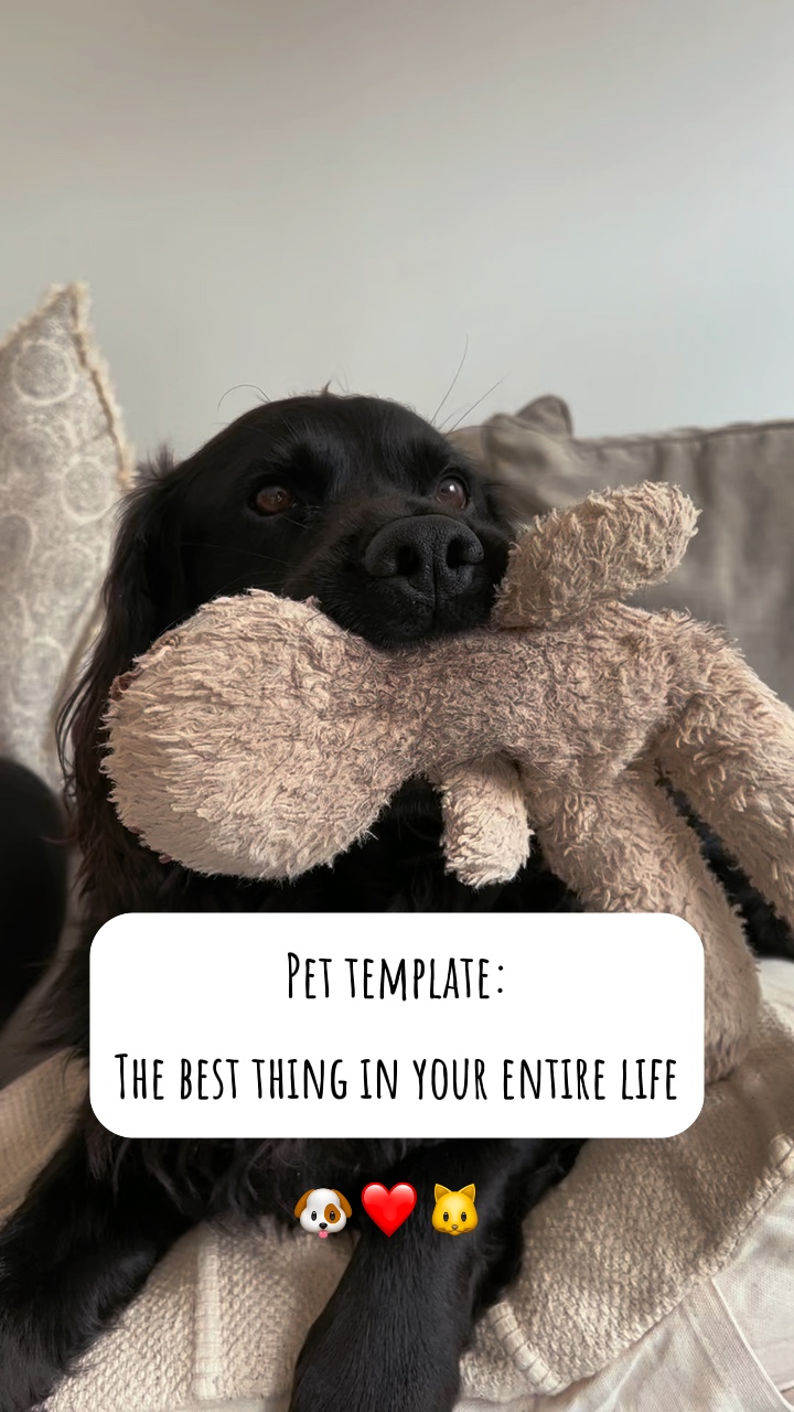 La meilleure chose de la vie