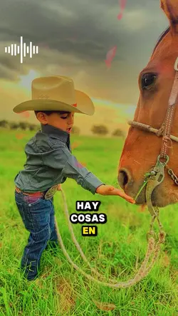 🥹❤️🐴