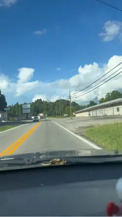 17 cruce la frontera