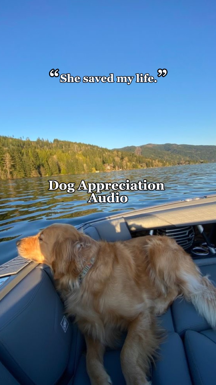 Dog saved my life