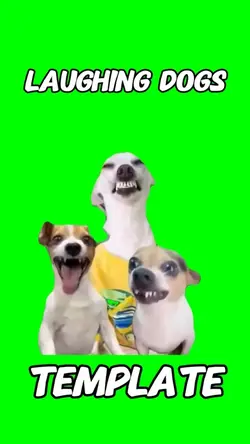 Dogs Laughing