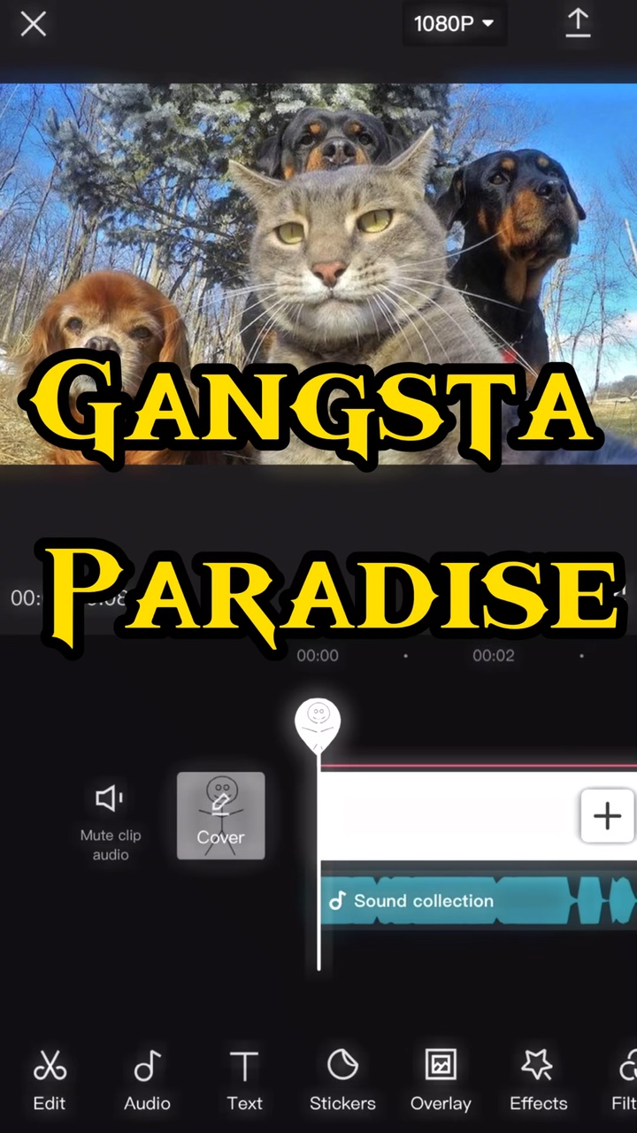 Gangsta-Paradies