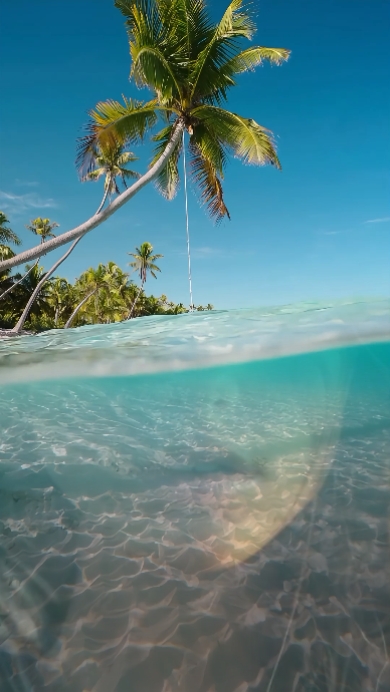 Strand im Sommer 