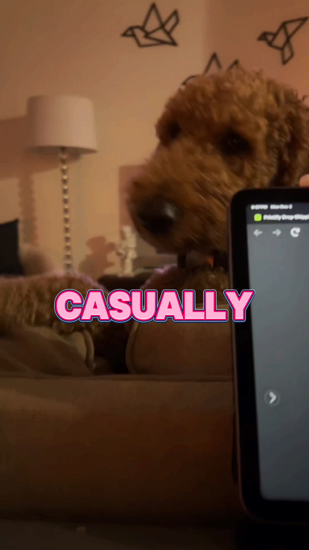 Cute dog 