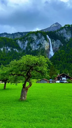 10 Clip VelocityZoom