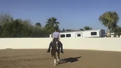 Bareback compilation