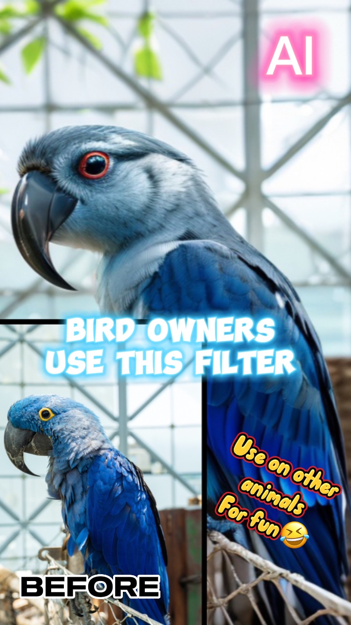 Filtro de aves AI 