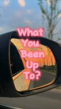 What you been up to?