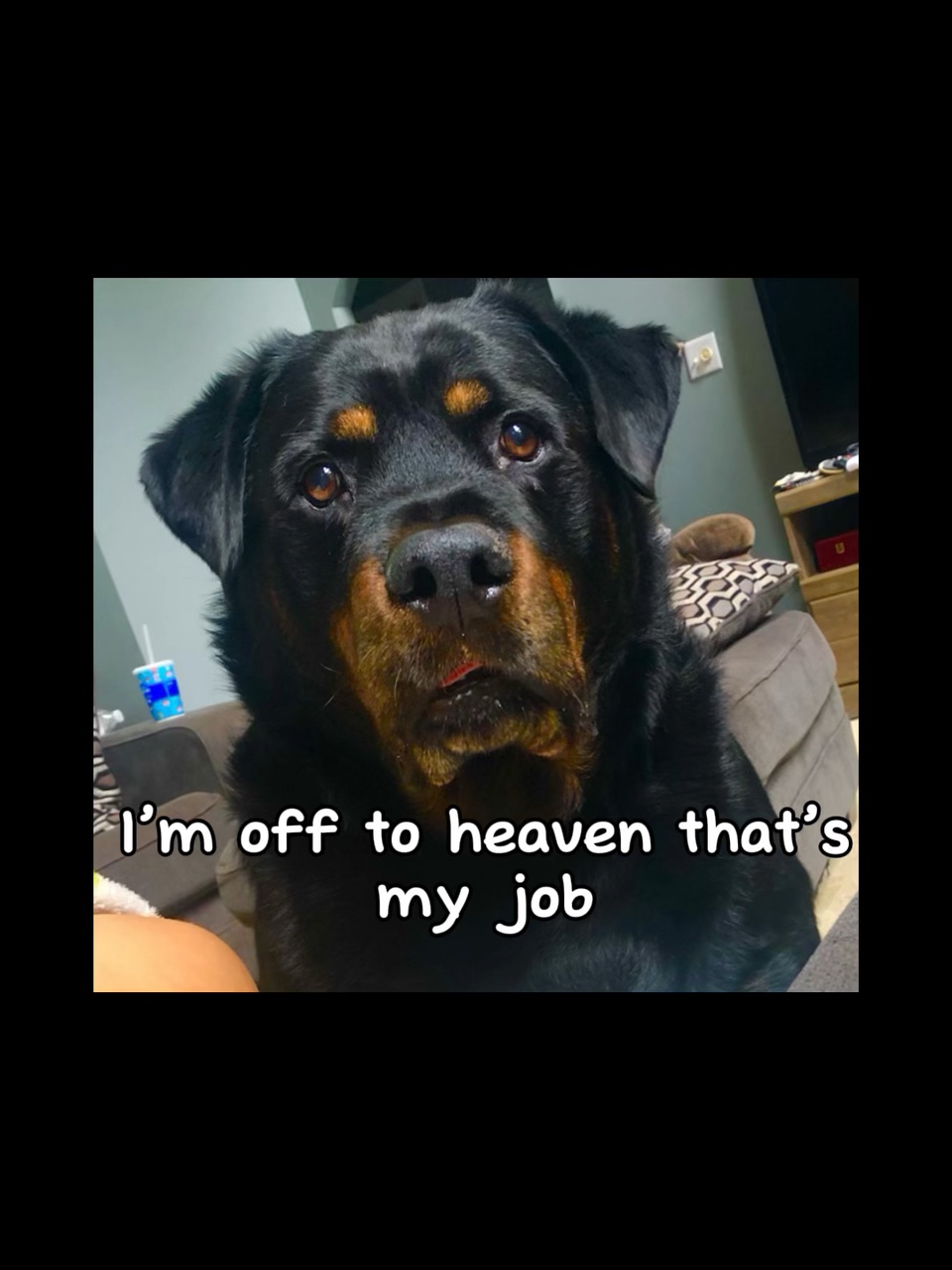 🕊️🪦DEP Zeus🪦🕊️