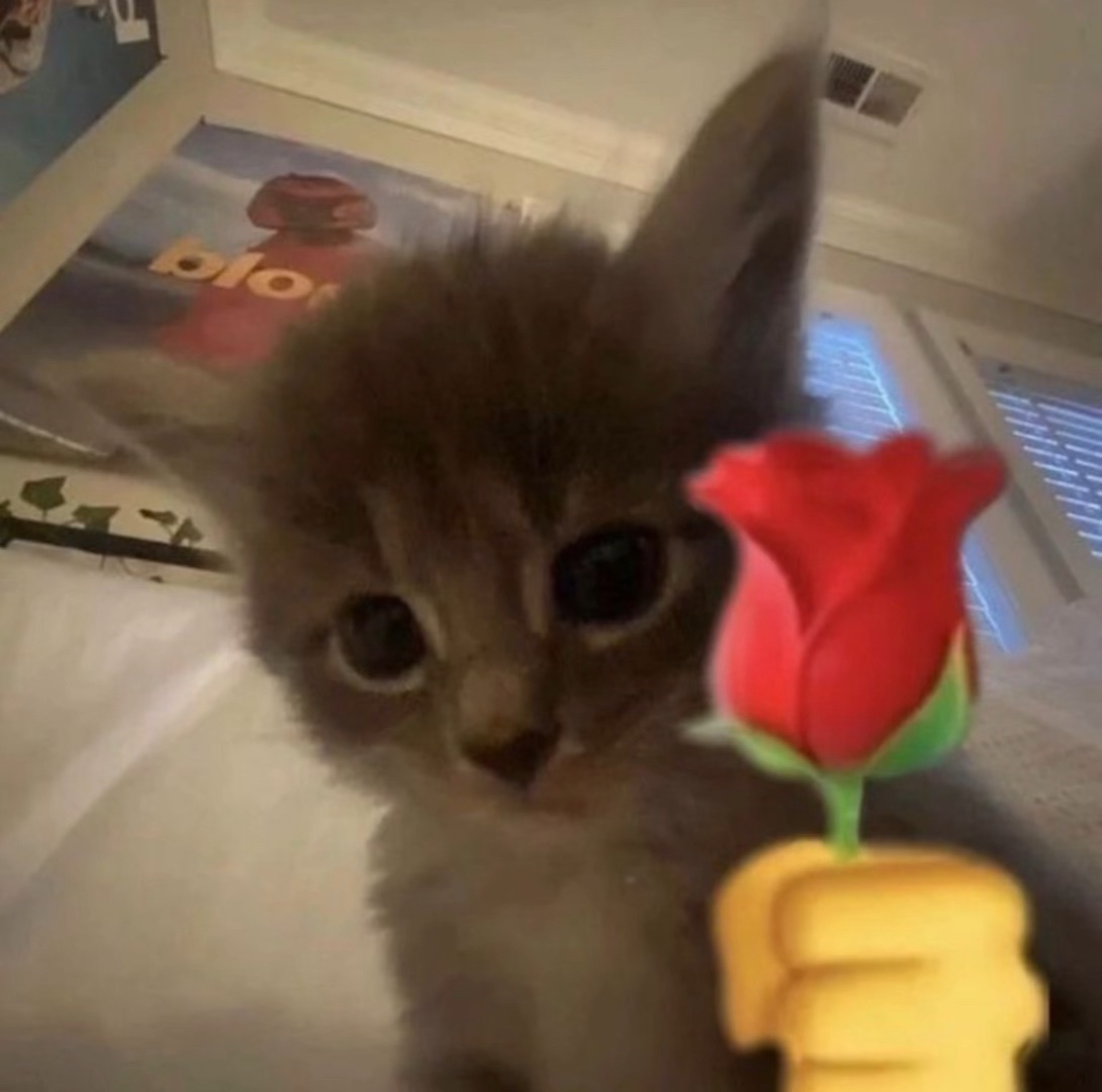 Te amo mãe