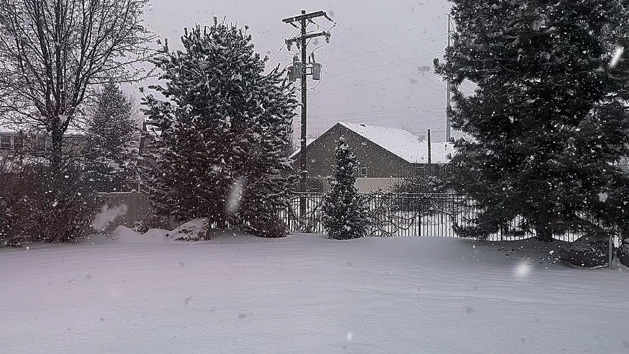 Edição de neve
