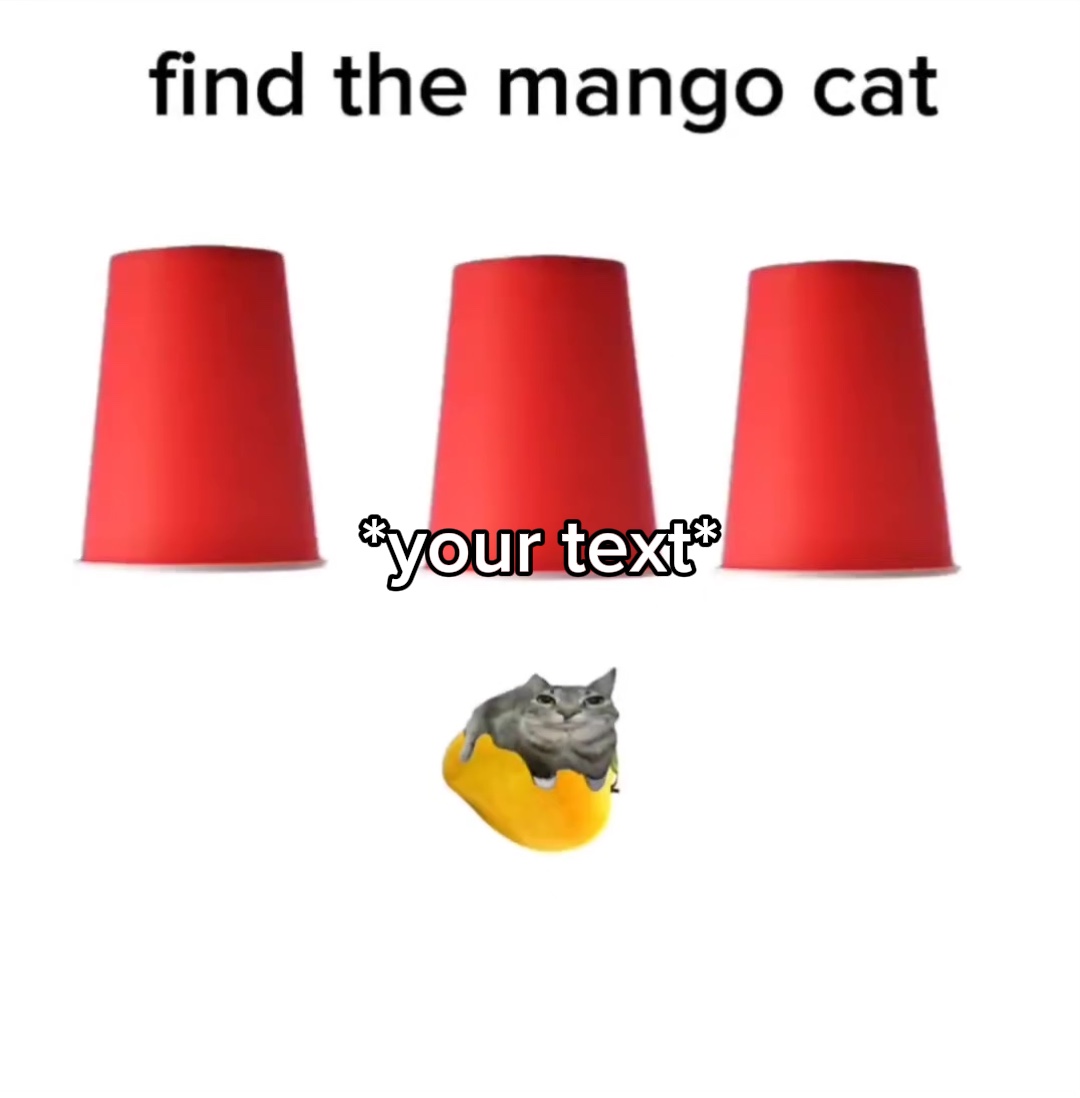 Gato de mango