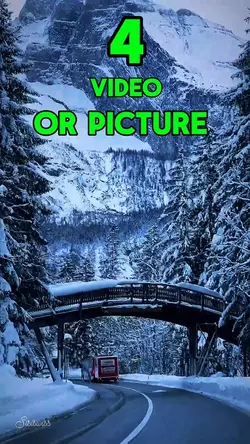 4 video or picture