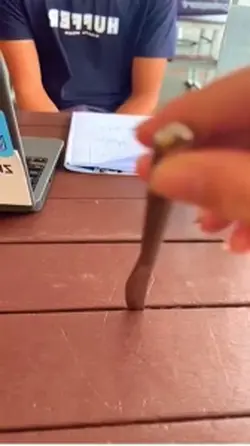 Trend faca transição