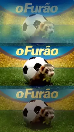 Futebol o furão bola