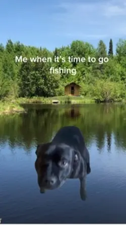 Fishing