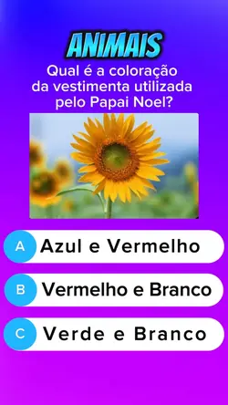Quiz 