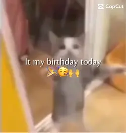 It’s my birthday