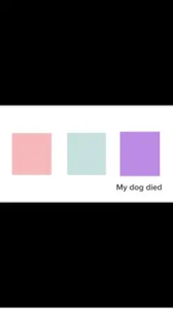 I ate it AAÆÆÆÆA