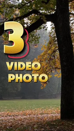 3 video or photo