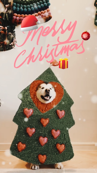 Merry Christmas 