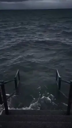 ocean meme