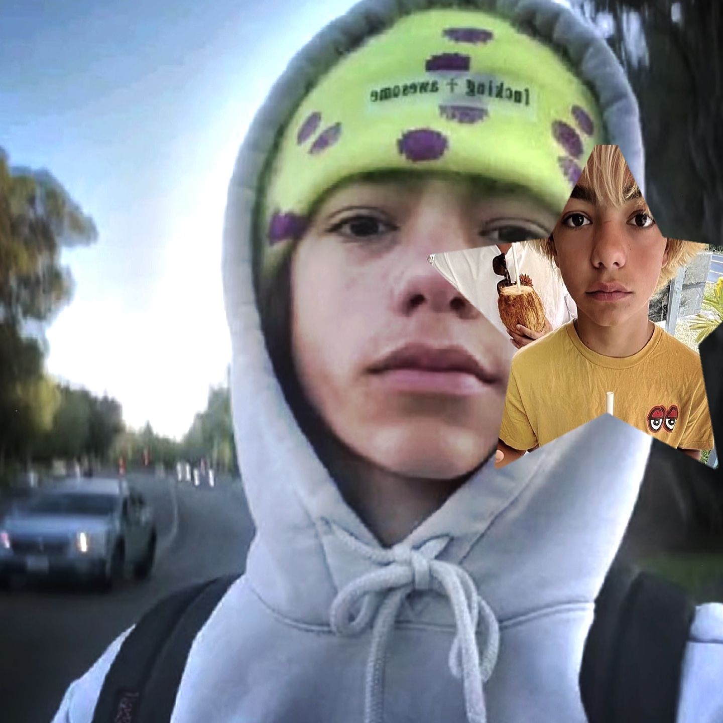 Cover Picture