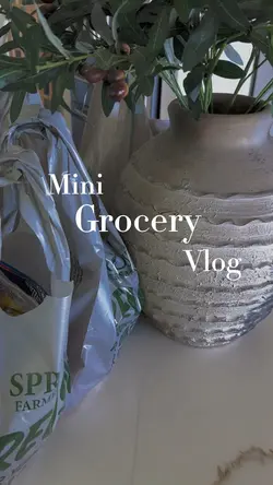 Mini Grocery Vlog