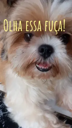 olha a fuça 