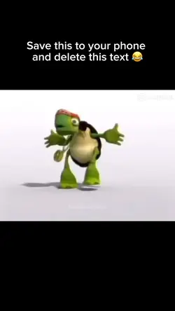Turtle